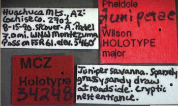 Media type: image;   Entomology 34248 Aspect: labels